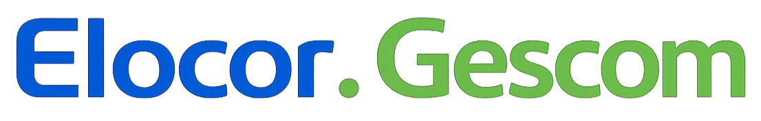 Connexion — Elocor Gescom