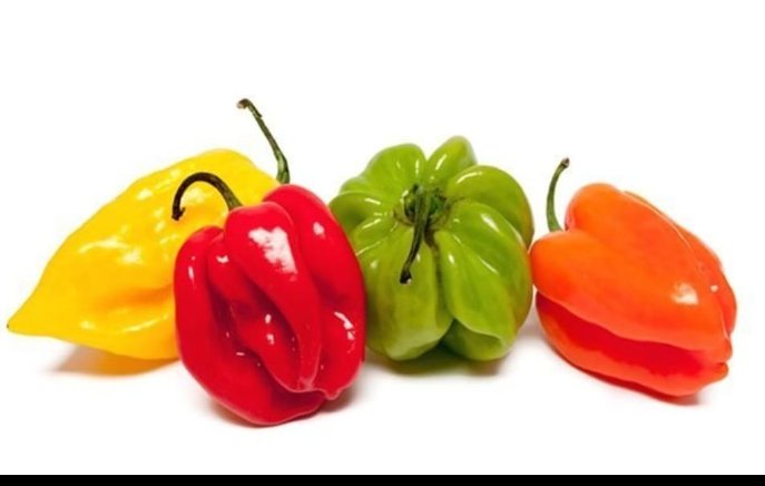 Piment vert