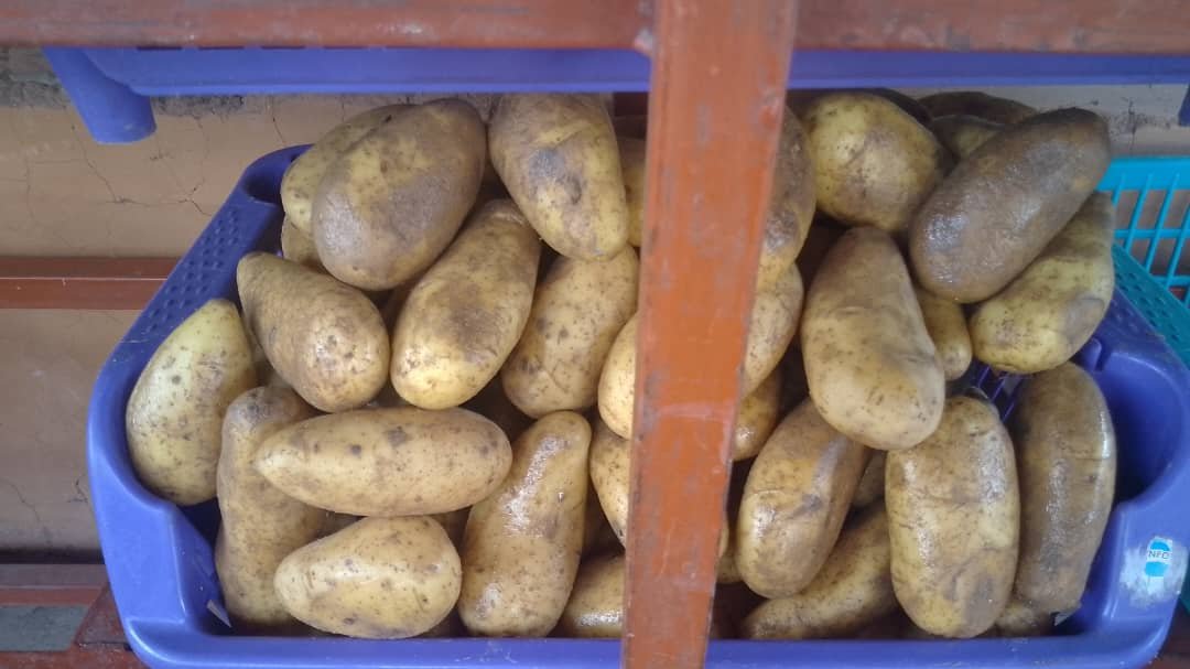 Pomme de terre