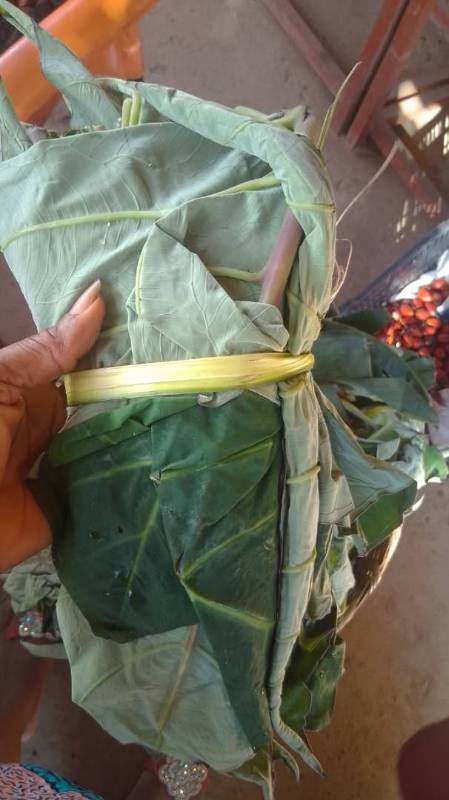 Feuille de taro
