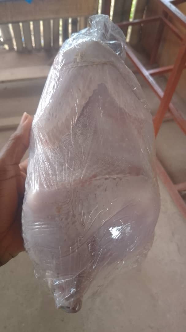 Poulet