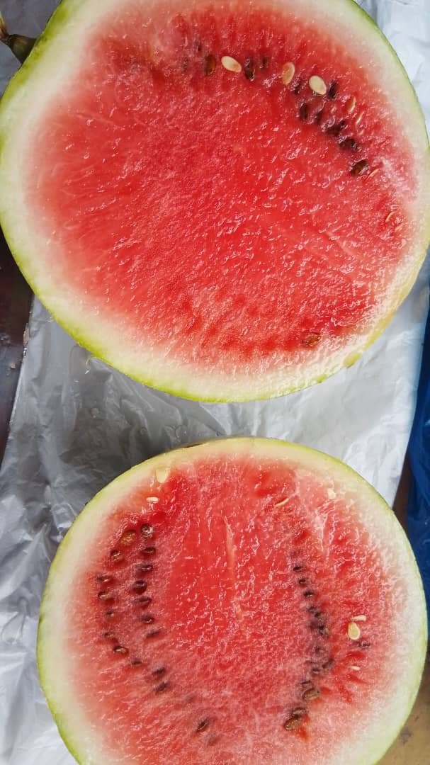 Pastèque