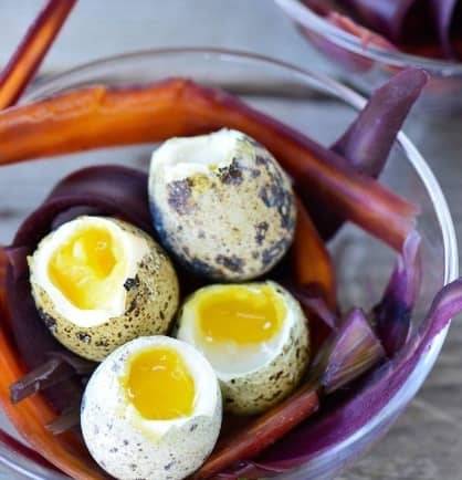 Oeufs de caille  Plateau
