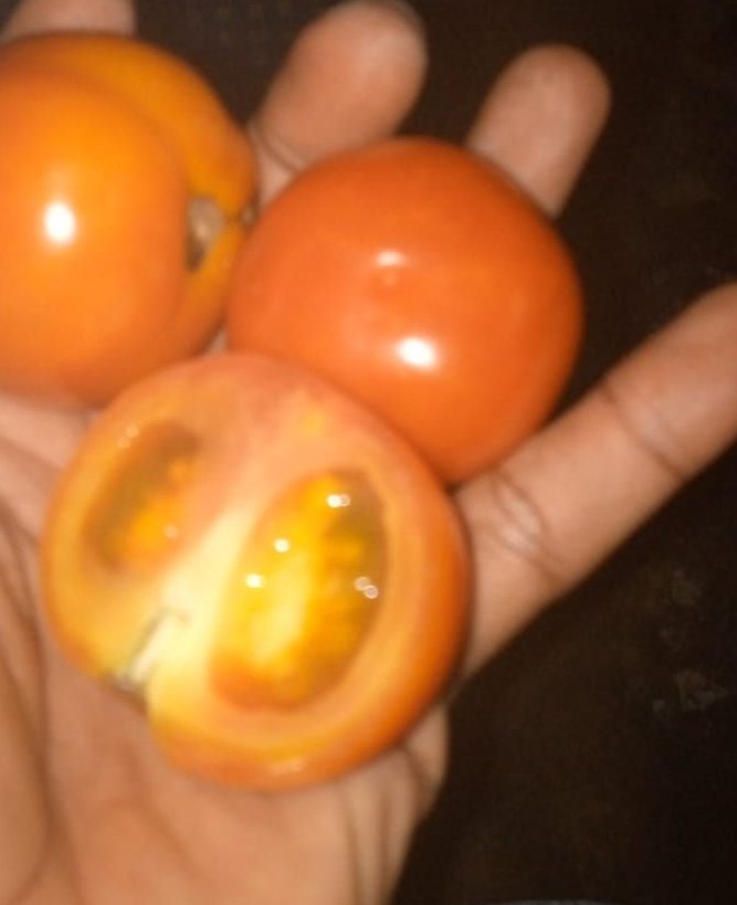 Tomates