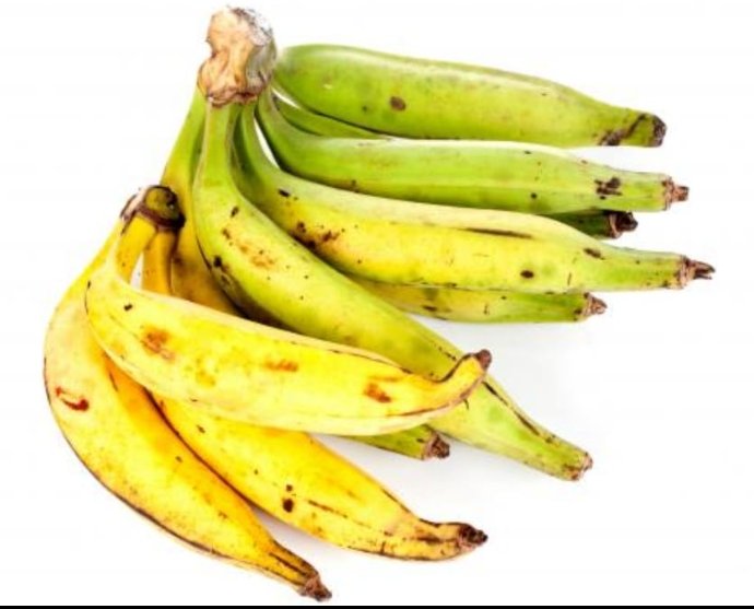 Plantain